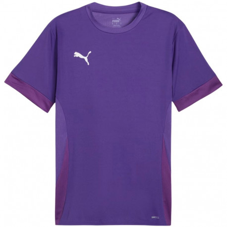 Puma meeste särk teamGoal Matchday Jersey 705747 10 M, lilla
