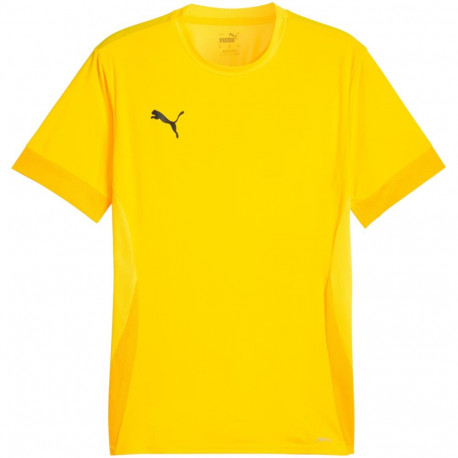 Puma meeste särk teamGoal Matchday Jersey 705747 07 2XL, kollane