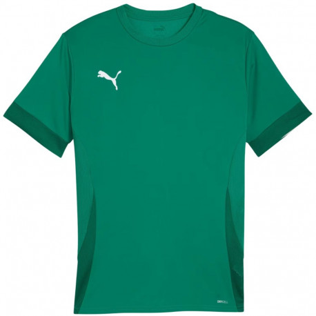 Puma meeste särk teamGoal Matchday Jersey 705747 05 L, roheline