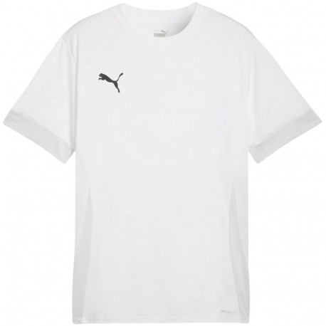 Puma meeste särk teamGoal Matchday Jersey 705747 04 S, valge