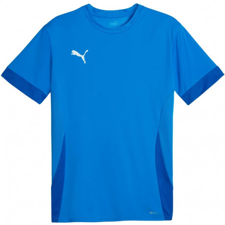 Puma meeste särk teamGoal Matchday Jersey 705747 02 M, sinine
