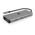 Icy Box USB-C 12-ühes