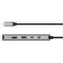Icy Box USB-C 12-ühes