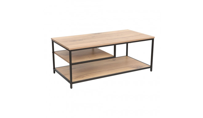 Coffee table DIMITRA 100x50xH40cm, rustic/black