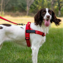 Dog harness REFLECTIVE SILK size XS red