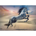 Puzzle - 1000 - majesteetlik hobune Trefl 10790