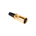 mikrofoni pistik isane GOLD (5 tk.)