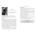 Oracle Deck - Bear and Company The Council of Horses 40 Cards Guidebook