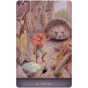 Oracle Card Deck - Land of Giants Oracle Cards 42 Cards & Guide 10.3x15.4x3 cm