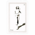 Schiffer Publishing ShadowFox Tarot Cards