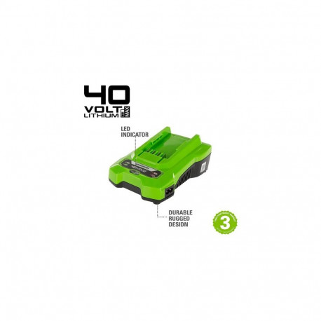 Greenworks 2932507 cordless tool battery / charger Battery charger