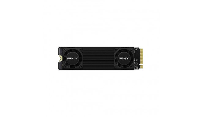 "PNY CS3150 1TB SSD M.2 GEN5 NVMe Black Heatsink"