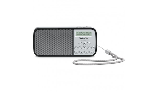 "Technisat TechniRadio RDR silber"