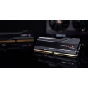 "48GB PC 6400 CL32 G.Skill (2x24) 48-GX2-TZ5NR AMD"