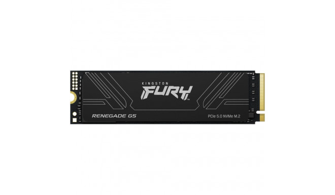 "M.2 4TB FURY RENEGADE G5 2280"