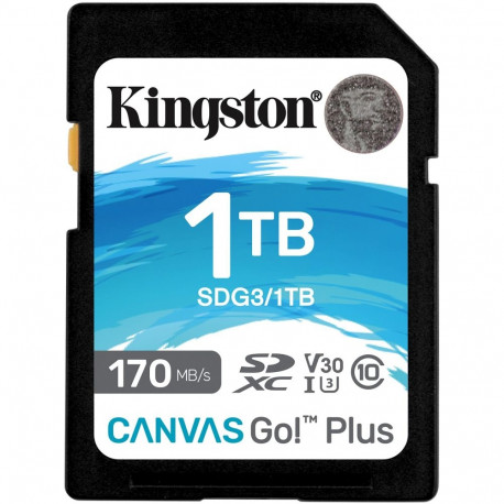 "CARD Card 1TB Kingston XC Canvas Go Plus C10 retail"