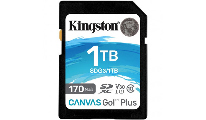 "CARD Card 1TB Kingston XC Canvas Go Plus C10 retail"
