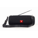 "gembird Tragbare Bluetooth-Lautsprecher mit Antenne schwarz"