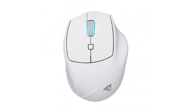 "Sharkoon OfficePal M25W (wei)"