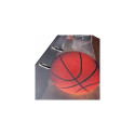 "HERMA Ordner A4 Karton Basketball"