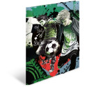 "HERMA Sammelmappen A3 Karton Street Soccer"