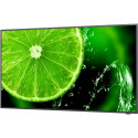"NEC MultiSync E558 55' Display UHD"
