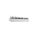 "CHERRY MX 8.2 Wireless Keyboard TKL WL (without suitcase)"