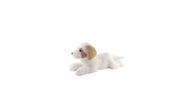 Havanesa Dog lying down 60 cm
