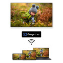 TV SET LCD 43" QLED 4K/43QG7C04 THOMSON