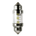 Led pirnid 2tk 10#31 mm, valge