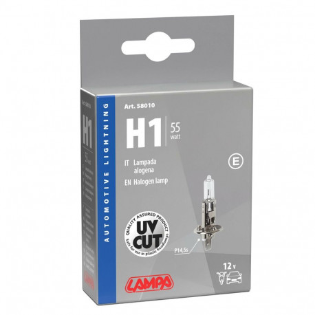 H1 55W