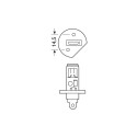Pirn H1 12V 100W