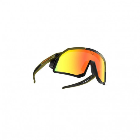 DYNAFIT glasses sky evo-winter moss-dawn