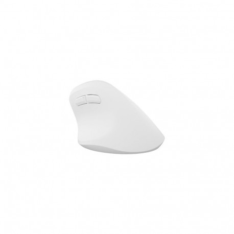 NATEC Crake 2 universaalne paremakäeline RF juhtmevaba + Bluetooth optiline 2400 DPI hiir