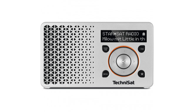 "Technisat DigitRadio 1 silber/orange"