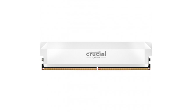 Crucial Pro overclocking 16GB [1x16GB 6000MHz DDR5 CL36 UDIMM] valge