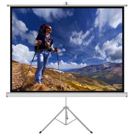 ART projector screen TS-120 244x183cm