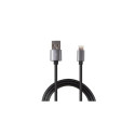 2GO 795810 lightning cable 1 m