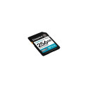 Memory card SD 256GB Canvas Go Plus 200/160 MB/s C10 U3 V30