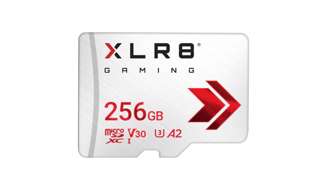 Memory card MicroSDXC 256GB P-SDU256V32100XR-GE