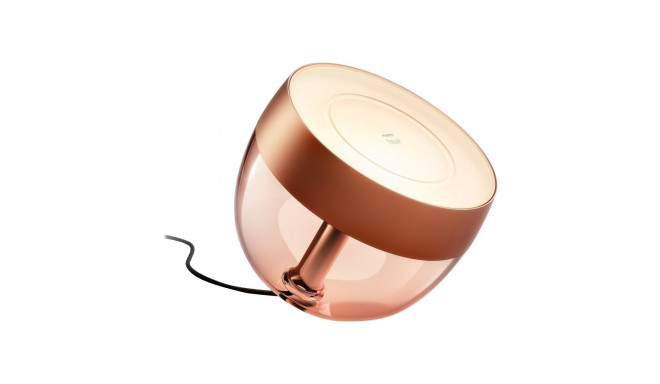 Philips Hue | Hue Iris kaasaskantav lamp, vase eriväljaanne | vask/messing | kaasaskantav lamp