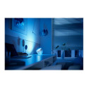 Philips Hue Iris hõbedane eriväljaanne kaasaskantav lamp