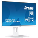 iiyama 24" IPS-tehnoloogiaga paneel 150 mm kõrgusreguleeritava alusega ja 100 Hz värskendussageduseg