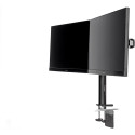 "Z Iiyama DS1002C-B1 Dual-Monitor Klemmhalterung 75x75 / 100x100 VESA"