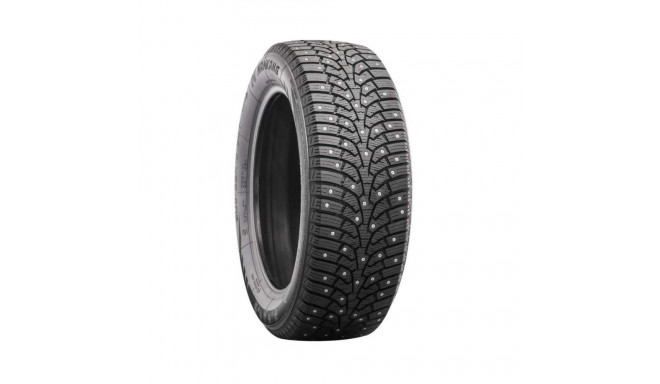 245/50R18 Nankang SW-9 naastrehv 104T XL