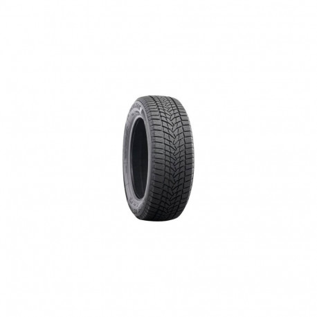 225/50R18 Nankang ICE-2 lamellrehv C/C/B 99T XL