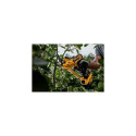 DEWALT sekator 18V 1x5,0Ah DCMPP568P1