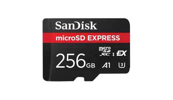 "CARD EXPRESS MICRO 256GB"