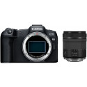 Canon EOS R8 + 24-105mm