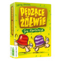 Gra pędzące Żółwie kaardimäng